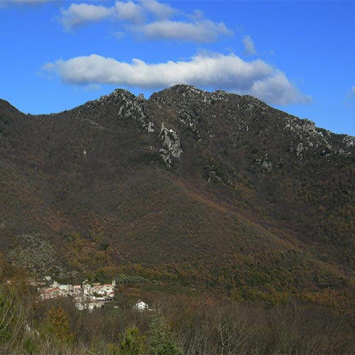 Monti Trebulani
