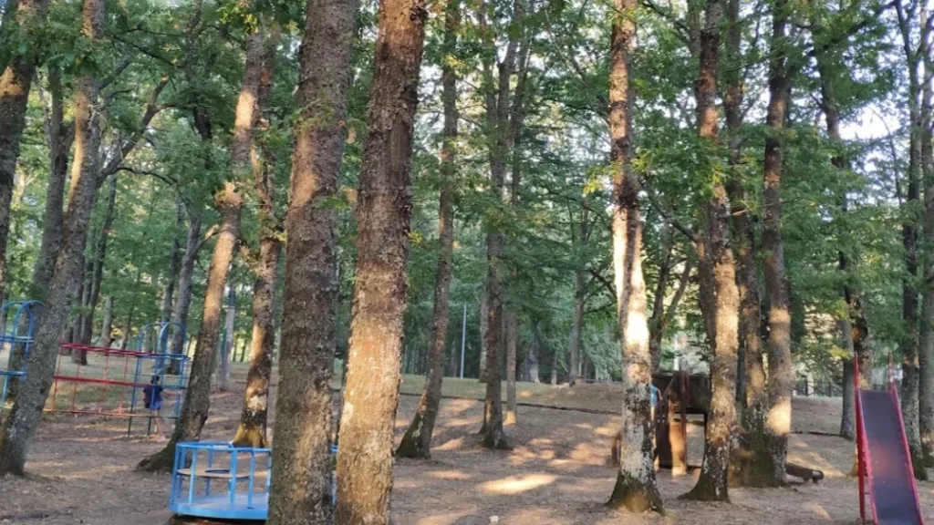 Bosco Mazzocca a Riccia Campobasso