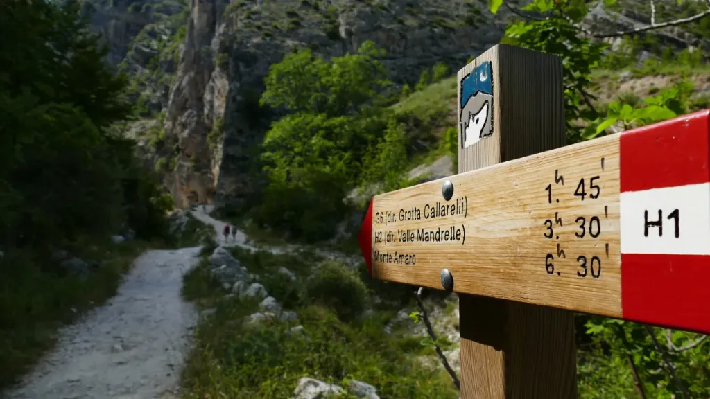 Segnavia del sentiero CAI su un albero nei Monti Aurunci, lungo il percorso dell'escursione al Monte Maio.