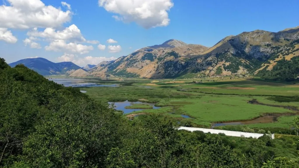 Paesaggio montano del Parco Nazionale del Matese con fitta vegetazione boschiva e rilievi sullo sfondo.