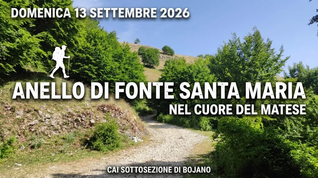 Faggeta rigogliosa e radura montana del Matese lungo il percorso dell'anello di Fonte Santa Maria nel territorio di San Polo Matese.