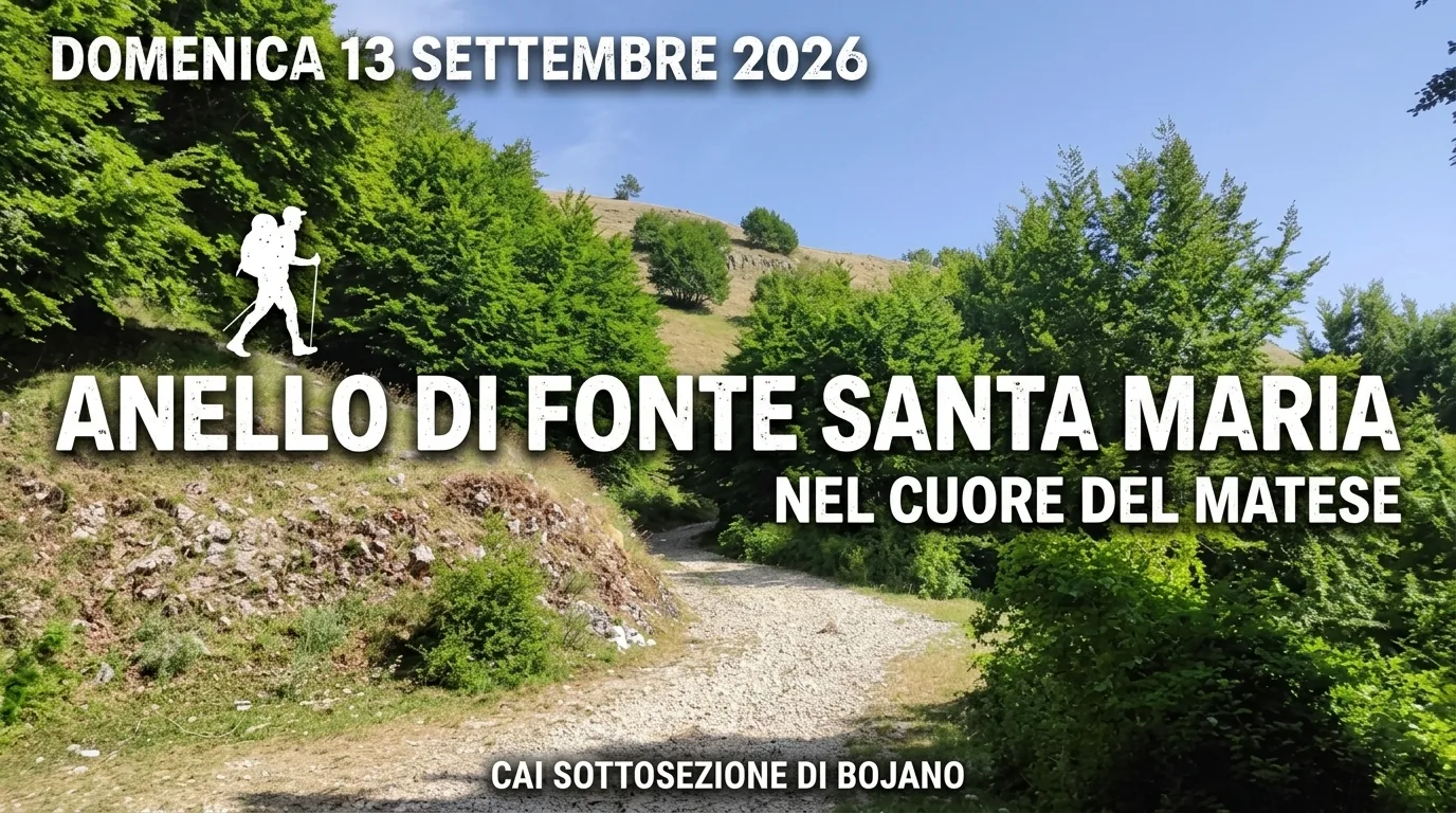 Faggeta rigogliosa e radura montana del Matese lungo il percorso dell'anello di Fonte Santa Maria nel territorio di San Polo Matese.