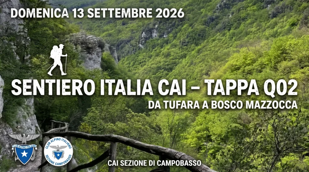 Panoramica collinare e boschiva della Valle del Fortore lungo il tracciato del Sentiero Italia CAI tra Bosco Mazzocca e Gambatesa.
