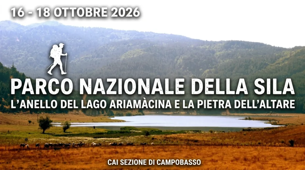 Paesaggio autunnale del Parco Nazionale della Sila con i colori del foliage, i boschi di pino laricio e la conca del Lago Ariamàcina.