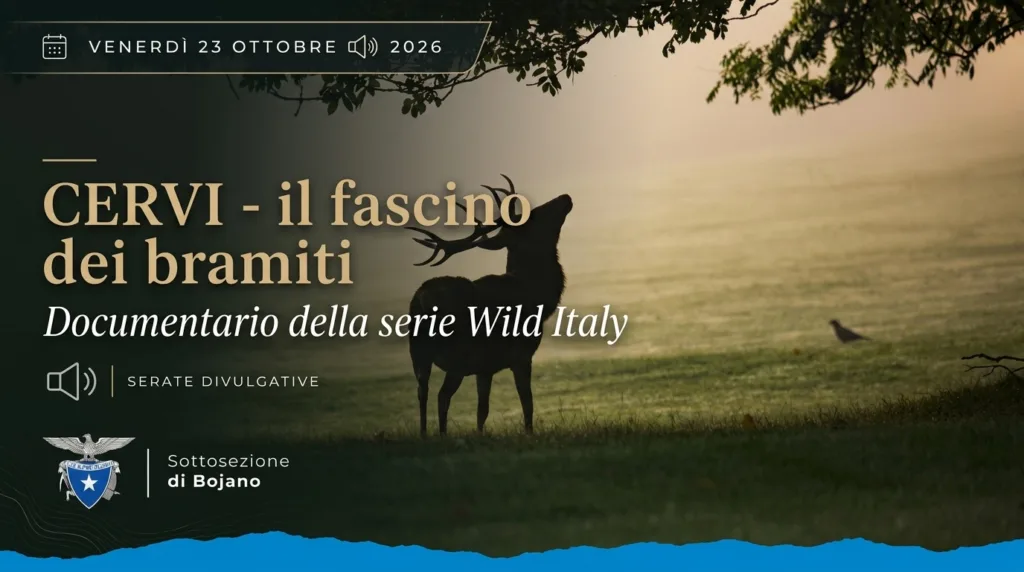 Locandina della serata divulgativa a Bojano dedicata al documentario sui cervi e i bramiti autunnali.